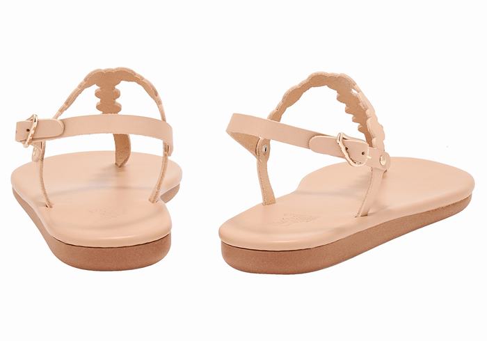 Sandales Bride Arrière Ancient Greek Sandals Velos Flip Flop   | AXV-8825263